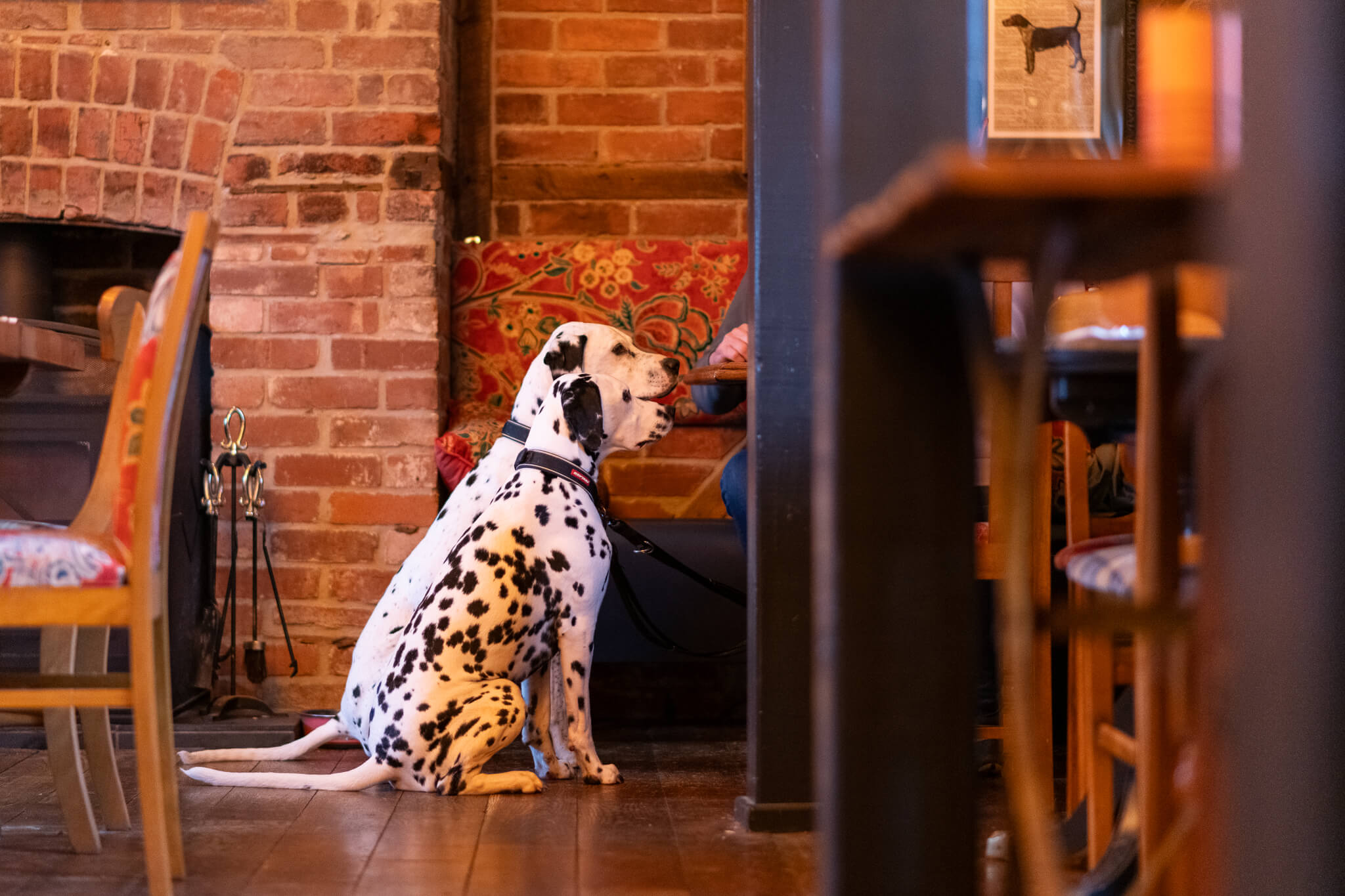 The White Hart Royal Hotel Moreton in Marsh Pet Friendly Hotel